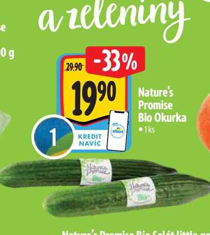   Nature's Promise Bio Okurka  1 ks