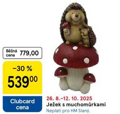 Ježek s muchomůrkami 