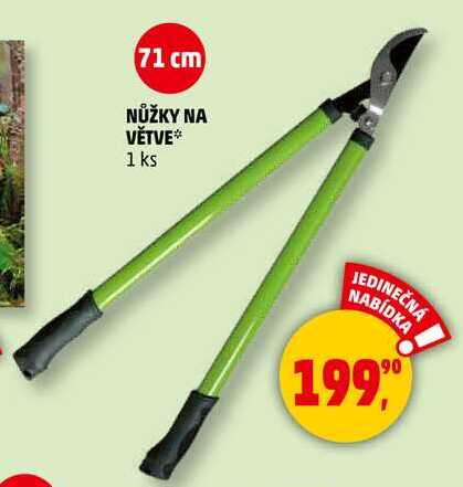 NŮŽKY NA VĚTVE, 1 ks  