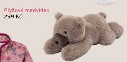Plyšový medvídek