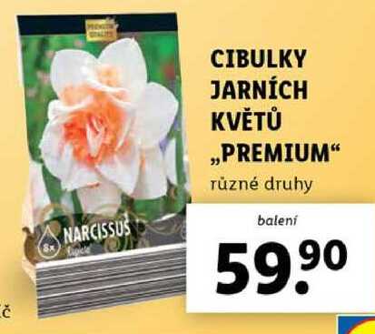 CIBULKY JARNÍCH KVĚTŮ „PREMIUM" 