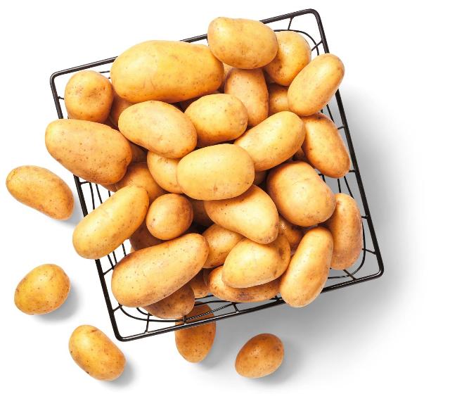 Brambory volné konzumní pozdní varný typ: B