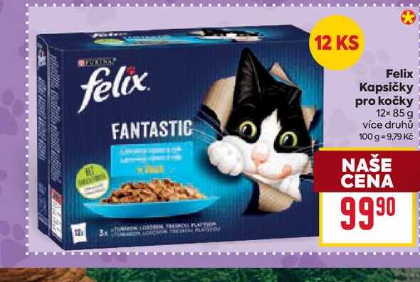 Felix Kapsičky pro kočky 12× 85 g 