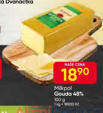 Milkpol Gouda 48% 100 g 