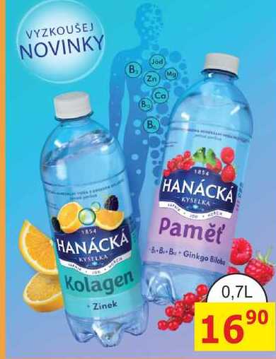 HANÁCKÁ KYSELKA Paměť B-B-B-Ginkgo Biloba 0,7L 