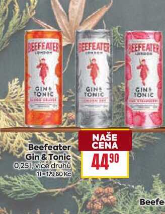 Beefeater Gin & Tonic 0,25l