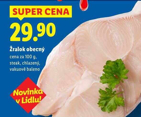Žralok obecný, cena za 100 g