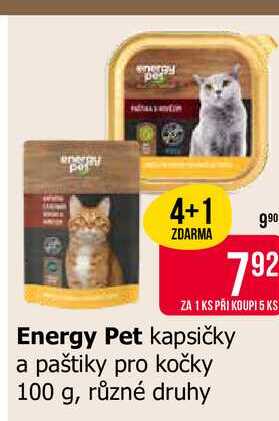 Energy Pet kapsičky a paštiky pro kočky 100 g, různé druhy 