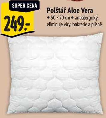 Polštář Aloe Vera 