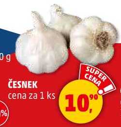 Česnek, 1 ks