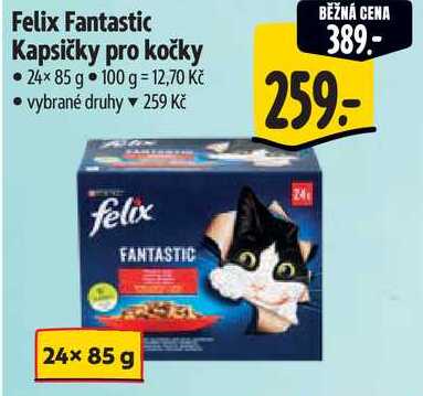 Felix Fantastic Kapsičky pro kočky, 24x 85 g 