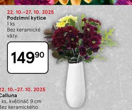Podzimní kytice, 1 ks
