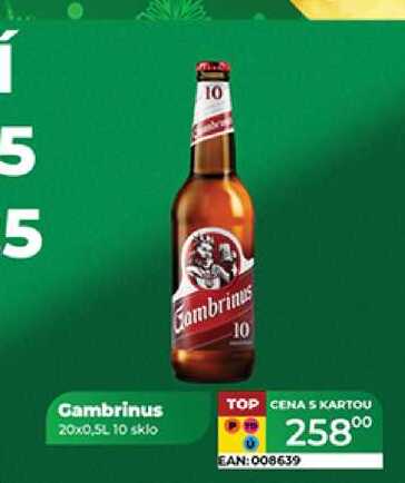 Gambrinus 20x0,5L 10 sklo