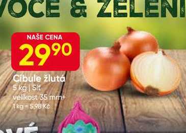 Cibule žlutá 5 kg 
