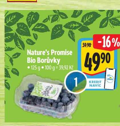 Nature's Promise Bio Borůvky 125 g 