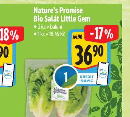 Nature's Promise Bio Salát Little Gem  2 ks