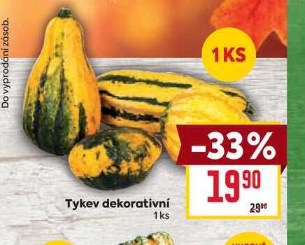 Tykev dekorativní 1 ks