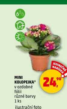 MINI KOLOPEJKA, 1 ks