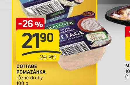 COTTAGE POMAZÁNKA různé druhy 100 g