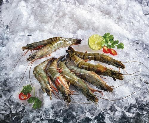 Kreveta tygří s hlavou, 1 kg