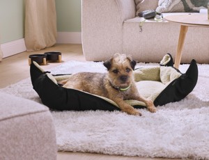 Zoofari® Pelíšek pro psy