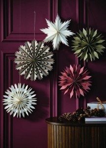 3) Vánoční hvězda HRYM