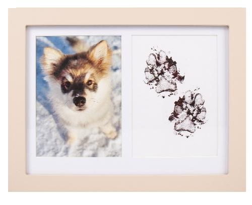 Fotorámeček se sadou na otisky, 1 KS