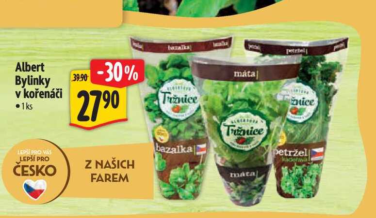 Albert Bylinky v kořenáči 1ks 