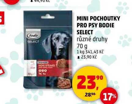 MINI POCHOUTKY PRO PSY BODIE SELECT, 70 g