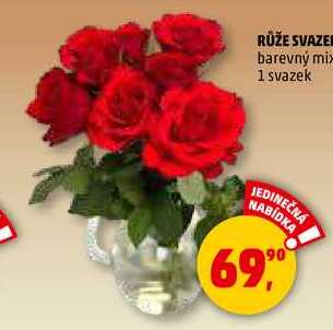 RŮŽE SVAZEK, 1 svazek