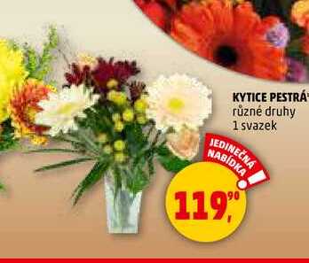 KYTICE PESTRÁ,y 1 svazek