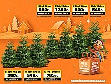 Vánoční stromeček 150–175 cm