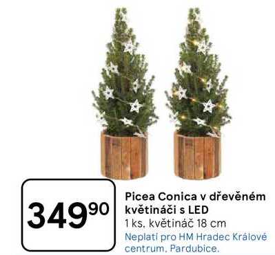 Picea Conica v dřevěném květináči s LED, 1 ks. květináč 18 cm