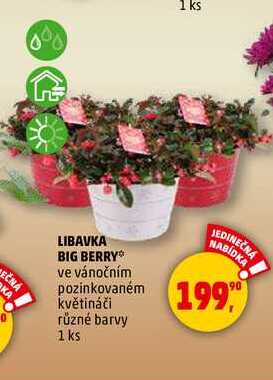 LIBAVKA BIG BERRY, 1 ks