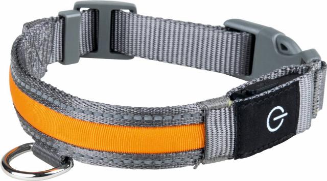 CARINURA Svíticí LED obojek délka: 36 – 40 cm