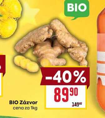 BIO Zázvor cena za 1kg 