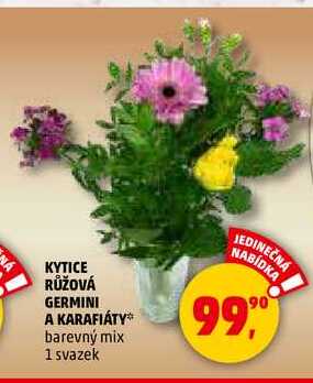 KYTICE RŮŽOVÁ GERMINI A KARAFIÁTY, 1 svazek