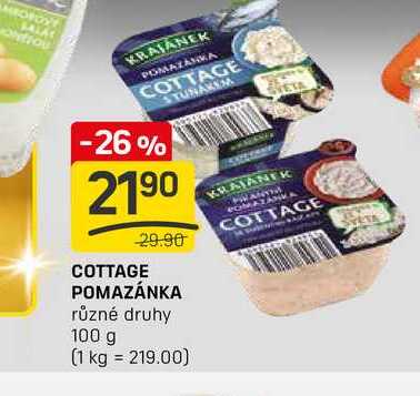 COTTAGE POMAZÁNKA různé druhy 100 g
