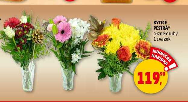 KYTICE PESTRÁ, 1 svazek 