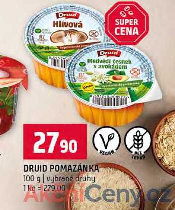 DRUID POMAZÁNKA 100 g vybrané druhy 