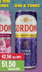 GIN & TONIC 250ml