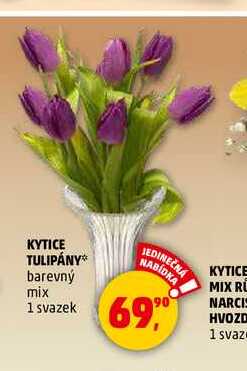 KYTICE TULIPÁNY, 1 svazek 