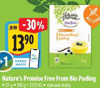 Nature's Promise Free From Bio Puding, 37 g