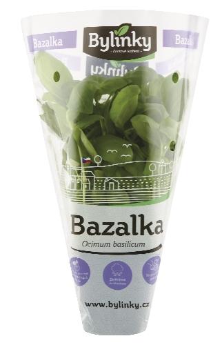 Petržel kadeřavá v květináči, 1 KS