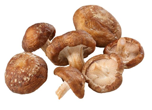K-Jarmark Shiitake