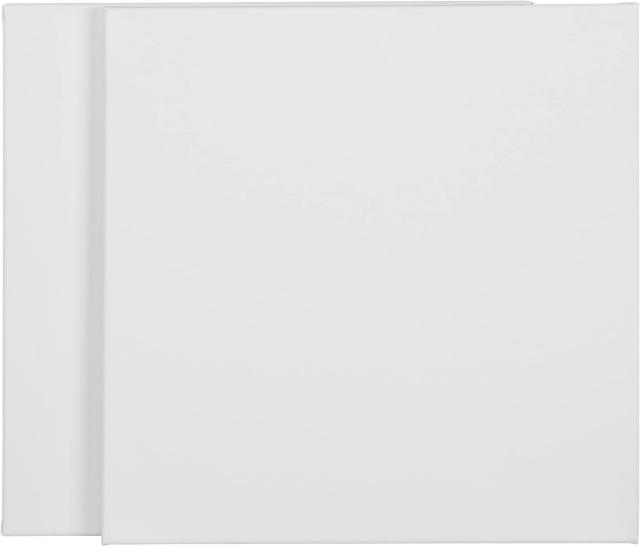 TALENTUS Malířské plátno rozměry: 40 x 40 cm