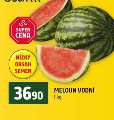 MELOUN VODNÍ 1 kg