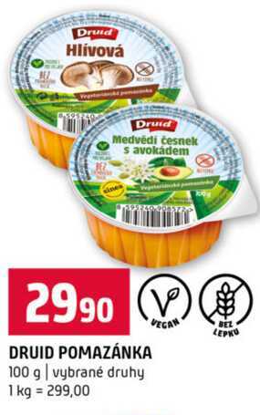 DRUID POMAZÁNKA 100 g vybrané druhy 