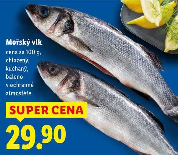 Mořský vlk, cena za 100 g