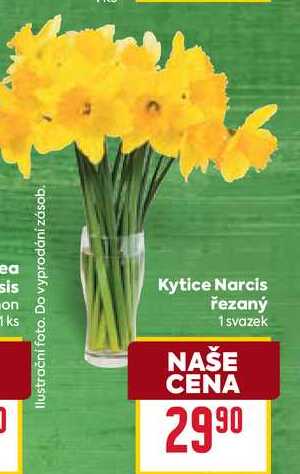 Kytice Narcis řezaný 1 svazek